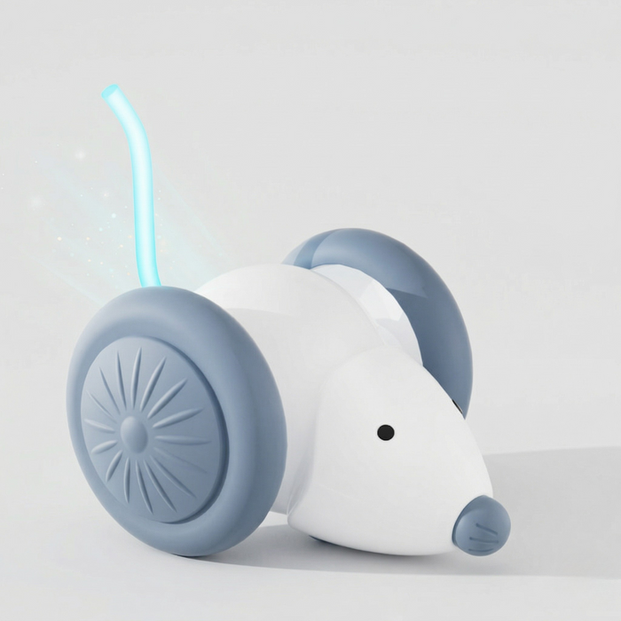 Interactive Mouse Toy